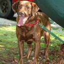 david houskeeper - @dhouskee - Twitter