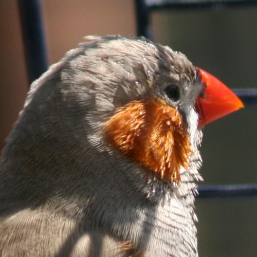 scottyopper's profile picture. You are unity. You are infinity. You are love/light, light/love. You are. This is the Law of One.