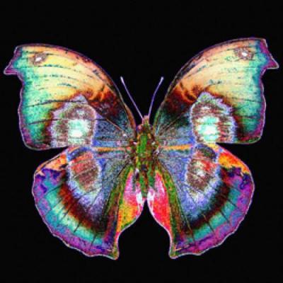 inicolehamilton's profile picture. Lifelong learner, energized by life's simple pleasures. Love good people, a good laugh & playing my music LOUD! #BlackLivesMatter