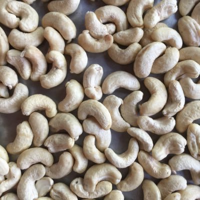 lbng55996622's profile picture. 