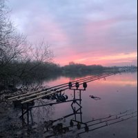 mollycarp_33 (@mollycarp_33) 's Twitter Profile