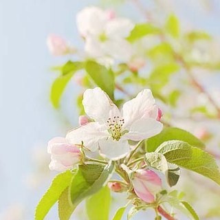 vbs0707's profile picture. 