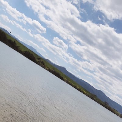 SBRC0f1RyUjoKQD's profile picture. よろしくねぶちゅ