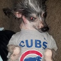 Jorge Ramirez (@jorgera79148742) 's Twitter Profile