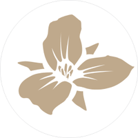 Trillium Canton (@trilliumcanton) 's Twitter Profile