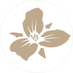 Trillium Canton (@trilliumcanton) Twitter profile photo Trillium Canton (@trilliumcanton) Twitter profile photo