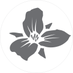 Trillium Fort Point (@trilliumfortpt) Twitter profile photo Trillium Fort Point (@trilliumfortpt) Twitter profile photo