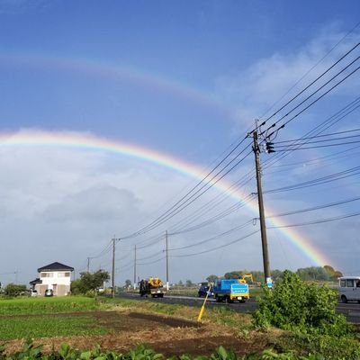 シダイさんのプロフィール画像