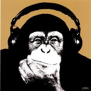 ArionNassif's profile picture. 