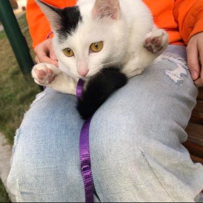 PRMRFZZ1VGVTTmA's profile picture. 