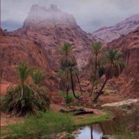 علي الشمري (@a_m_alghaithi) 's Twitter Profile