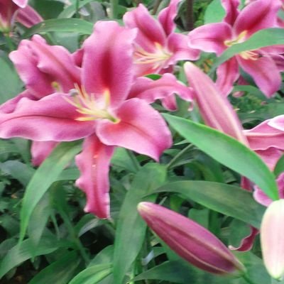 ranyk2cer's profile picture. 