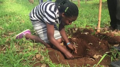 we empower young people to plant trees as entrepreneurs to protect the environment to tackle climate change and global warming
