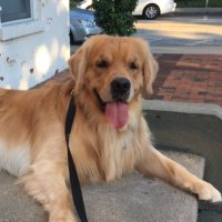 Michael (@glolj1003) 's Twitter Profile Photo Michael (@glolj1003) 's Twitter Profile Photo