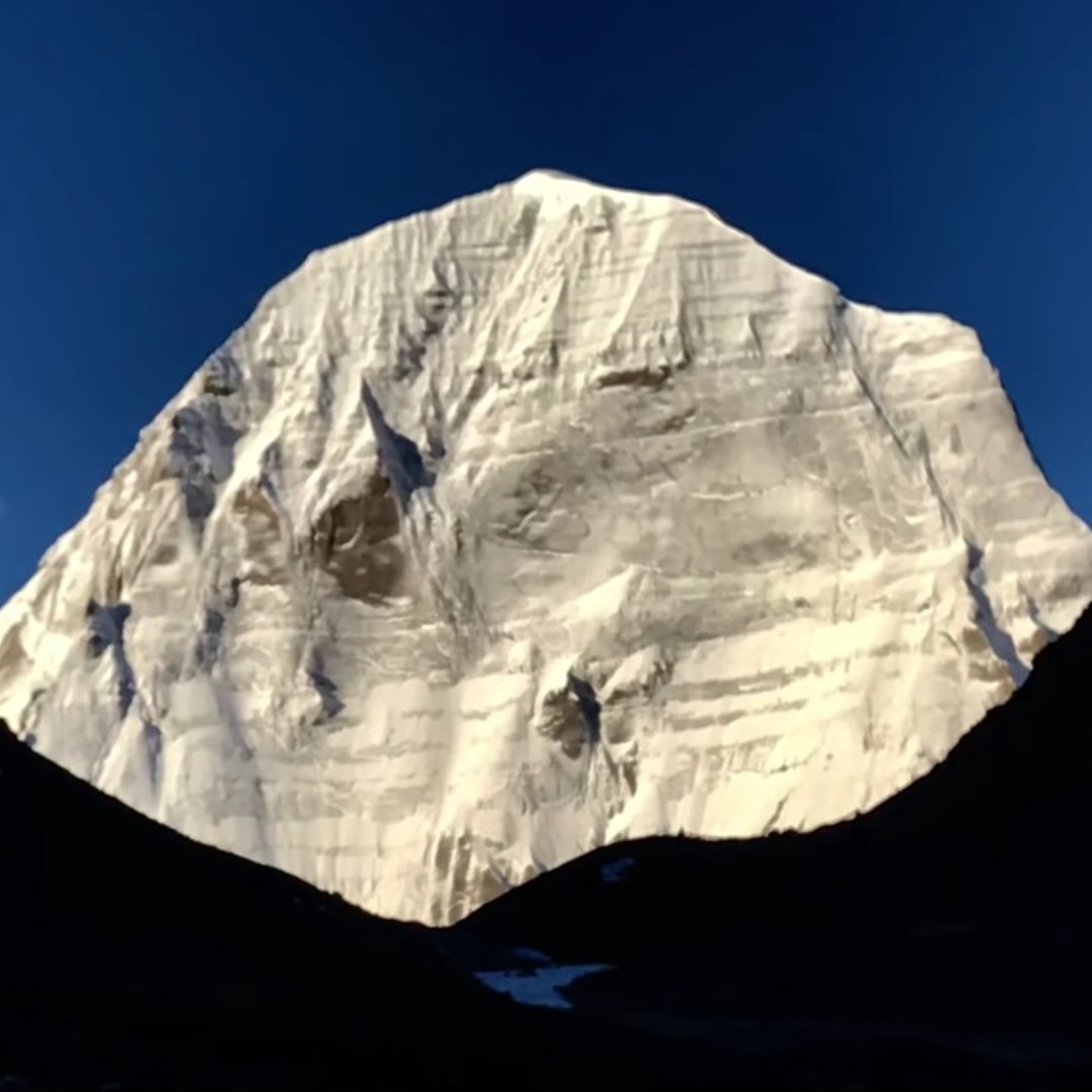 Indianbombers's profile picture. Precision fighter!!