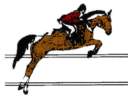 Toll Booth Saddle Shop is a NJ tack shop that has been serving the community since 1974.  We carry new, used, english, and western products for horse and rider.