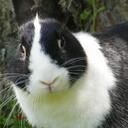 Jasmine Slater - @jazz44445 - Twitter