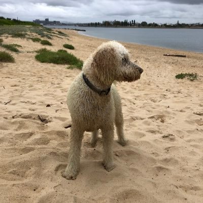 mojomagic5's profile picture. Lucky to live down under... with our boring politics, interesting wildlife, amazing landscapes and diverse culture 🇦🇺