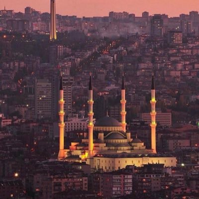 MD_NOUR93's profile picture. 