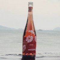 Copper Lining (@copperlining) 's Twitter Profile