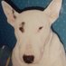 Stephen Michael Thomas (@stethepony1969) Twitter profile photo Stephen Michael Thomas (@stethepony1969) Twitter profile photo