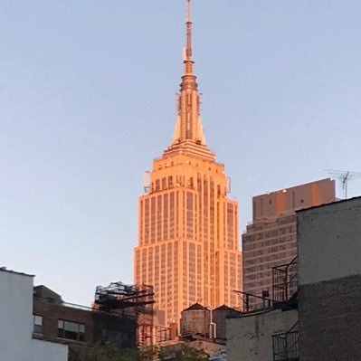 massdomi's profile picture. hematologist, oncologist, cell therapy believer aiming to safely transfer lab discoveries to patients.