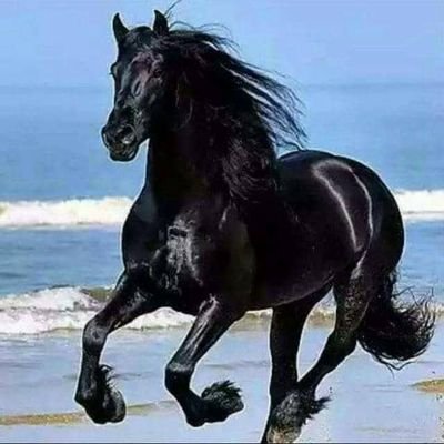 4DSFX428 ADD+ https://t.co/k9pfB3EoW4