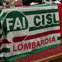 Fai Cisl Lombardia(@FaiLombardia) 's Twitter Profileg