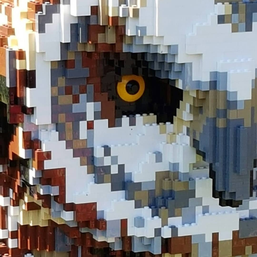 Cazaar1's profile picture. 