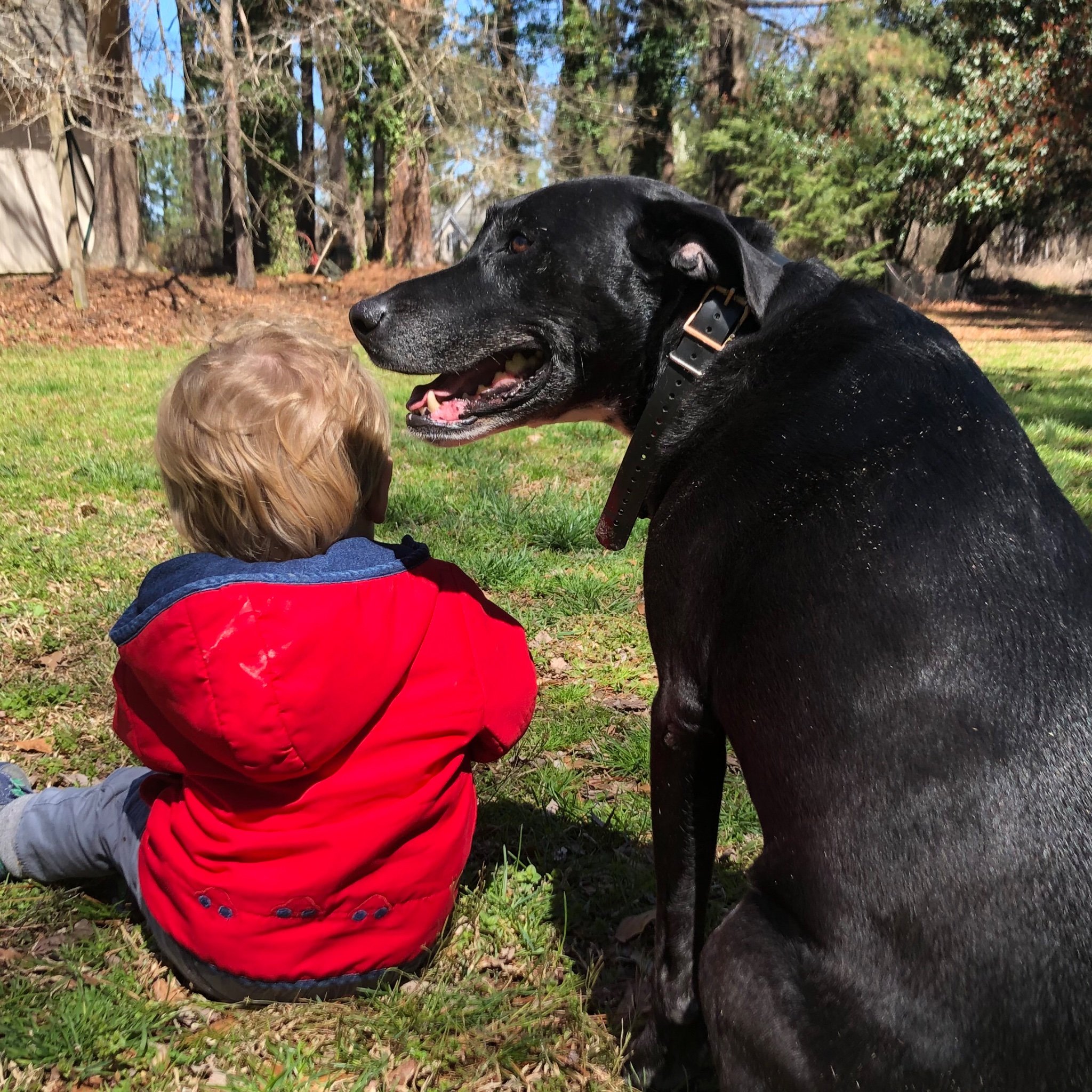 AreWeHavingFun3's profile picture. The best part of having a child is having an automatic excuse to stay home