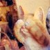 早川 彩音 (@maple_flowersun) Twitter profile photo 早川 彩音 (@maple_flowersun) Twitter profile photo