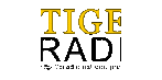 UST Tiger Radio (@ustigeradio) Twitter profile photo