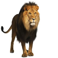 Leonard F. Morgan Sr (@pantheraleo2001) 's Twitter Profile