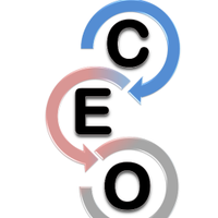 CEO Self-Leadership Strategies(@CEOLifeStrategy) 's Twitter Profile Photo