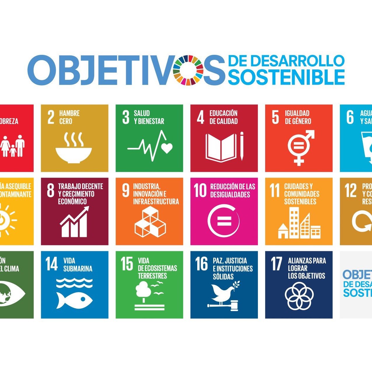 Red de Mentores de los Objetivos de Desarrollo Sostenible en Paraguay