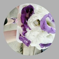 おなじ (@onaji_trhk) 's Twitter Profile