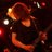 SEIJI_UNDHIFEAT's profile image