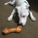 BakedPotato - @NickPetrocelli2 - Twitter