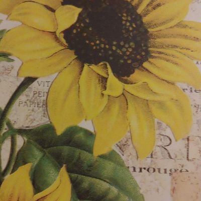 ojustgrammy's profile picture. *Retired SLPTech* Mother/Grandmother, Conservative* Blessed to live in America.Keep America free! NO LISTS!!!