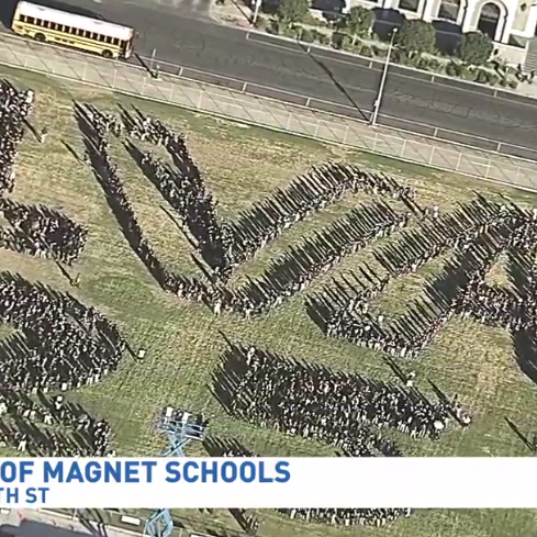 LadyDHP's profile picture. hi