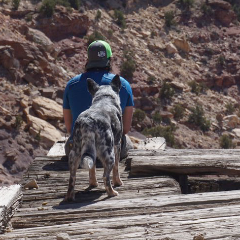 JKrissek's profile picture. Middle School Physical Education.  Long Term Athlete Development. Coach/Play Hockey.