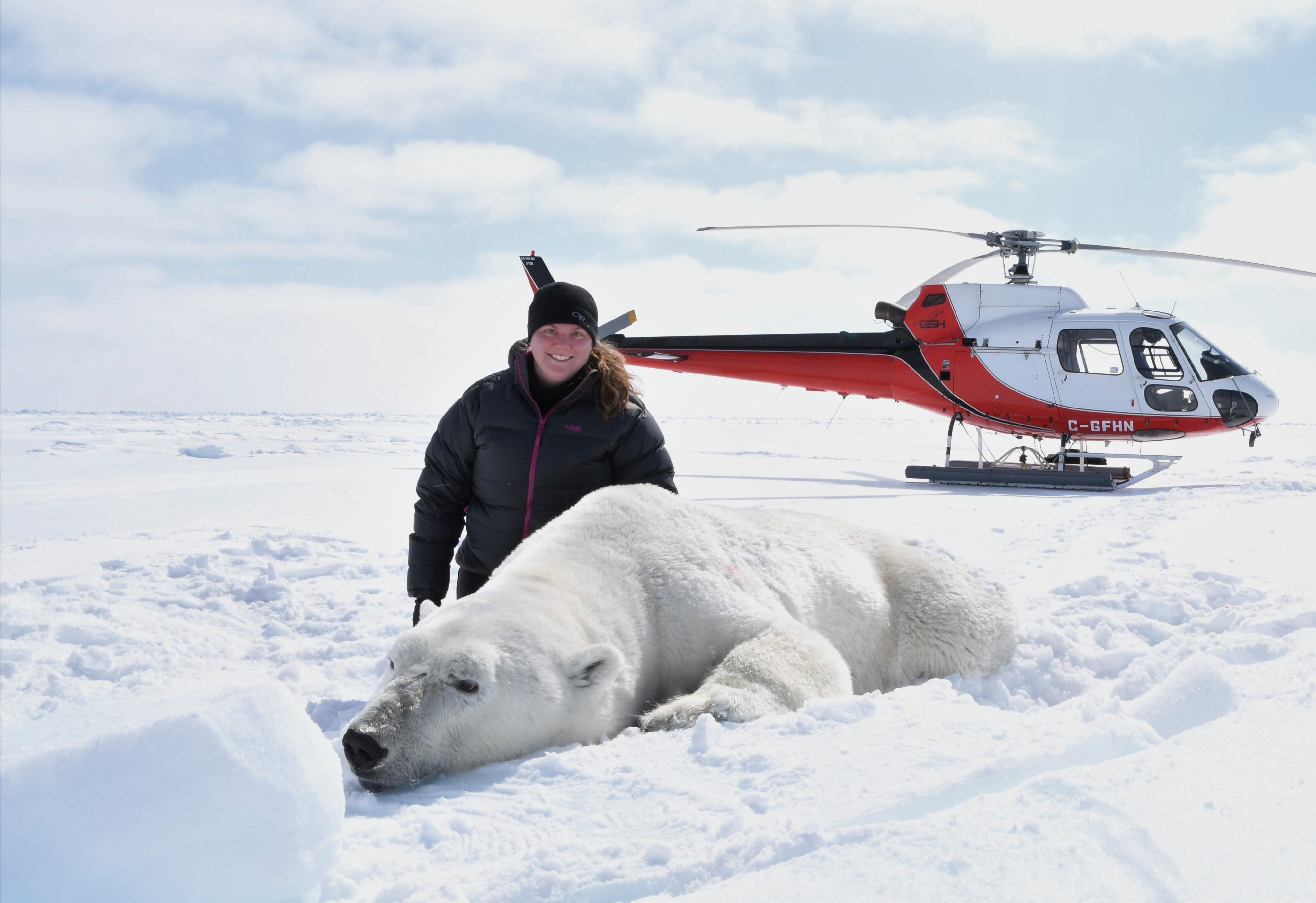 PhD from @UAlberta in polar bear ecology • Marine Scientist @ecofishresearch • Foraging, spatial, and energetics ecology