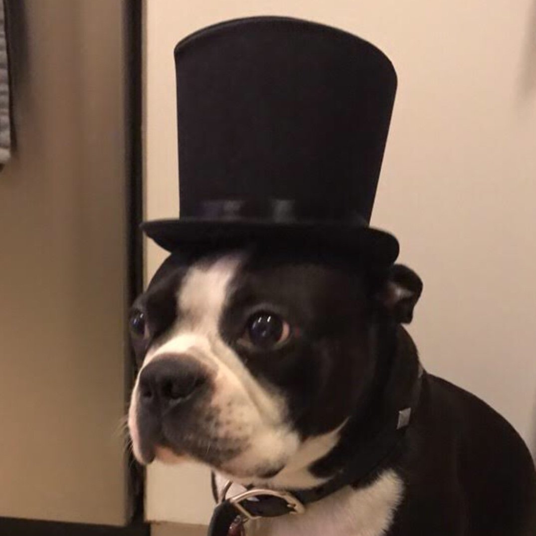 Dog with a tophat and their random thoughts