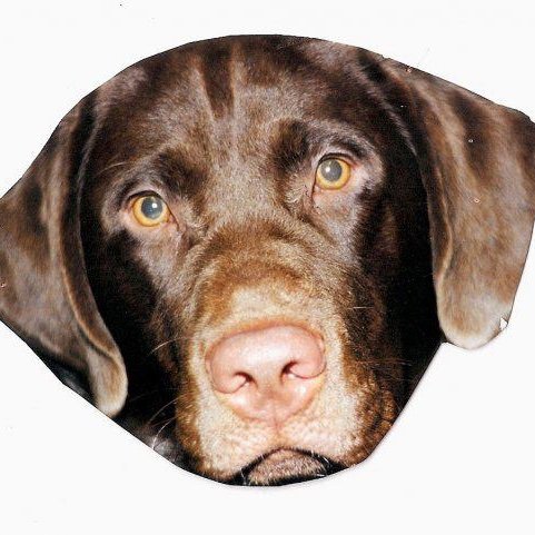 Hello, my name is Roscoe. I am a dog. I like to talk.