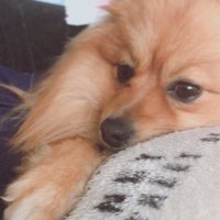 Rai (@study_389) 's Twitter Profile