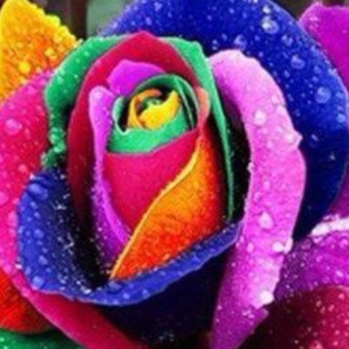 TheRealbmwh's profile picture. Really Truly LOVE Unconditionally💓😎🎤🙄👌👏👑😪😔🤗😇😉🌹💛🎶✌️💓🖖🛸🧚💃💝💓