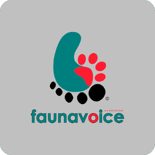 Official twitter account faunavoice © my best friend (launch 2021)