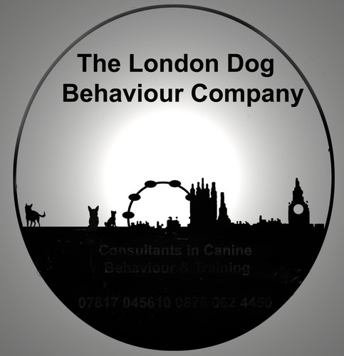 LondonDogCo's profile picture. Canine Behaviour Practitioner & Dog Trainer.
