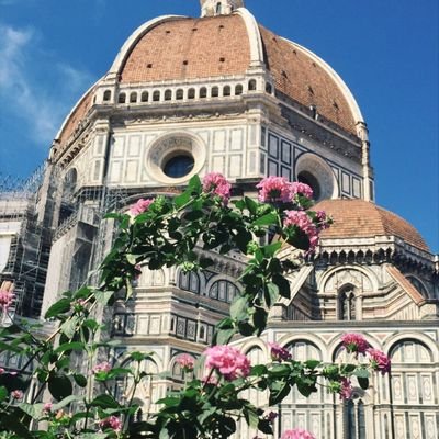 gualbertosarti's profile picture. avvocato civilista