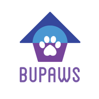 BU Paws(@BUPaws) 's Twitter Profile Photo